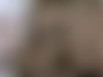 桜咲く青梅丘陵 2022/03/31