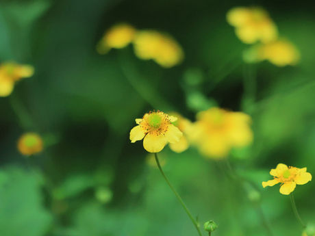 日影沢から高尾山 2022/08/09