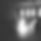 IMG_9221.jpeg