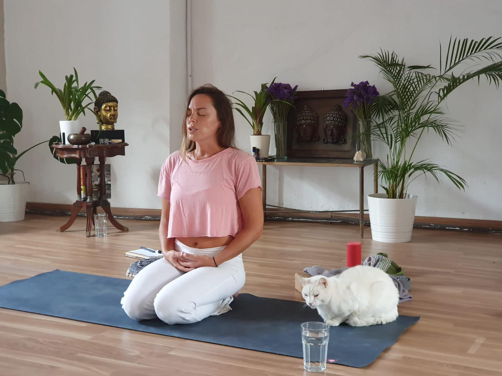 Writer: Priscilla Rybicki 