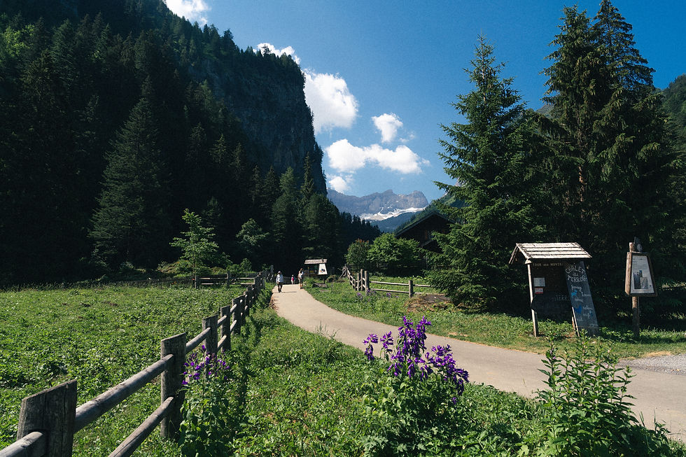 vallon.jpg