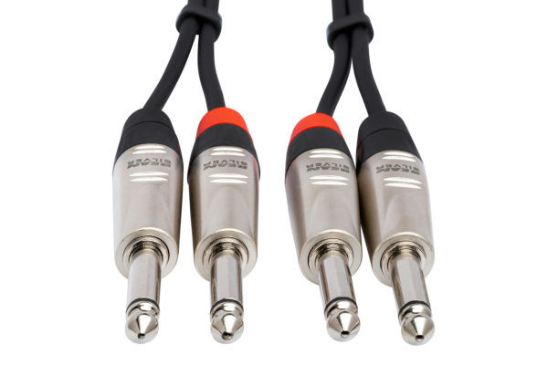 Hosa HPP-010X2 10Ft. Dual REAN 1/4 in TS to Same