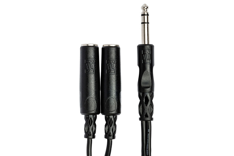 Miniatura: Hosa YPP-118 Y Cable, 1/4 in TRS to Dual 1/4 in TRSF
