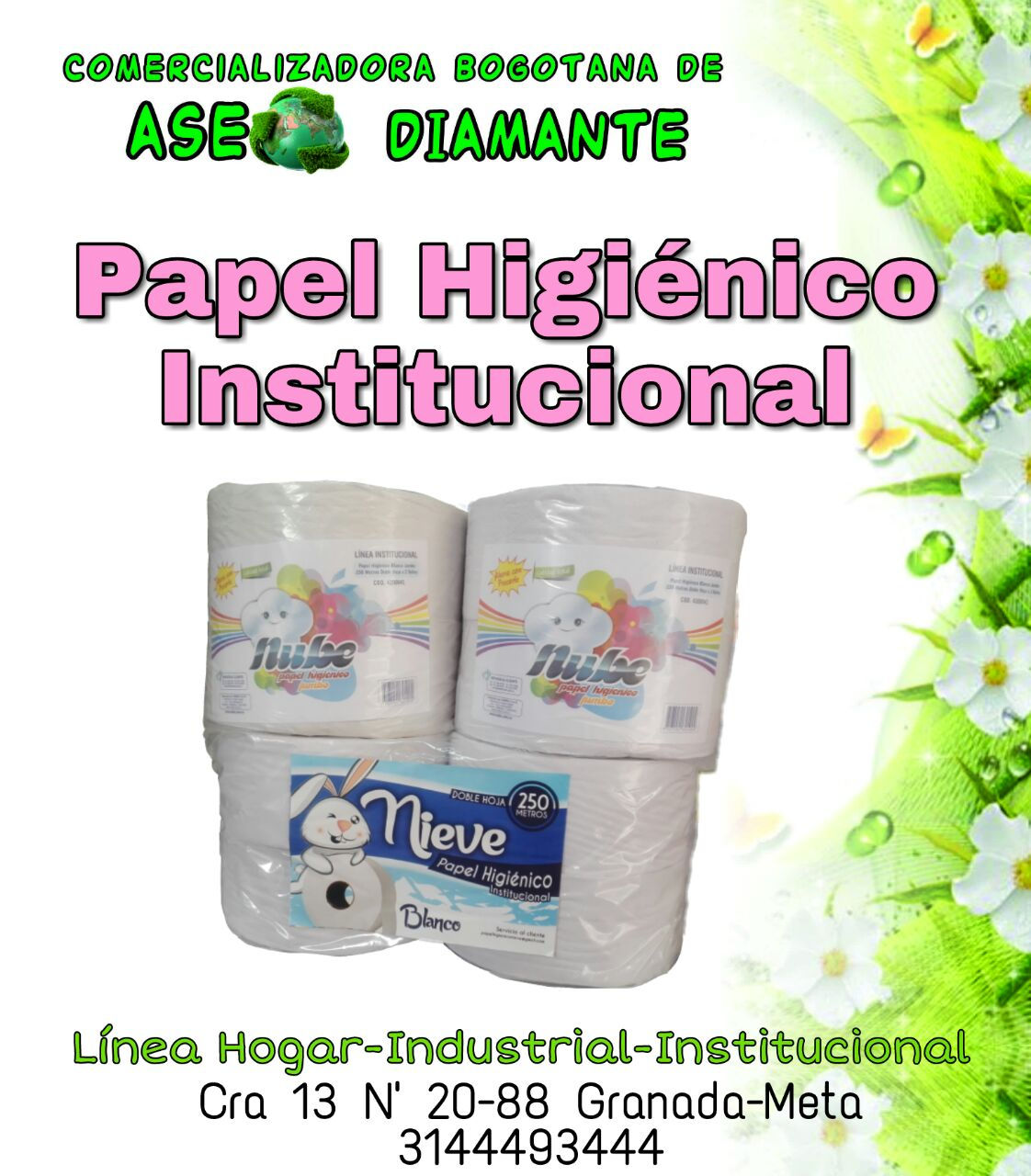 PAPEL INSTITUCIONAL