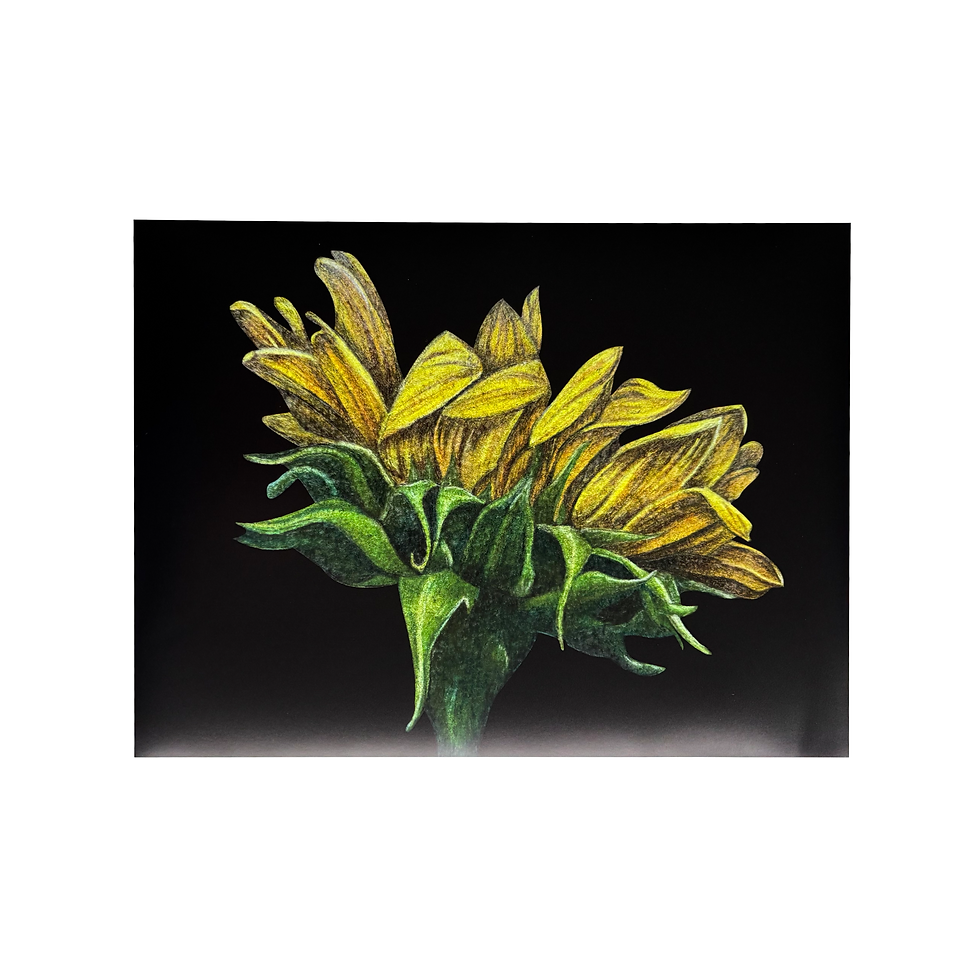 Thumbnail: Bloemenposter met zonnebloem groot