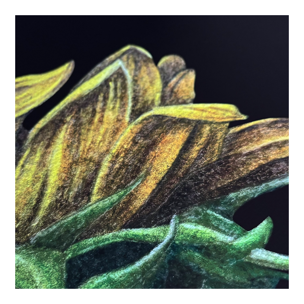 Thumbnail: Bloemenposter met zonnebloem groot close up