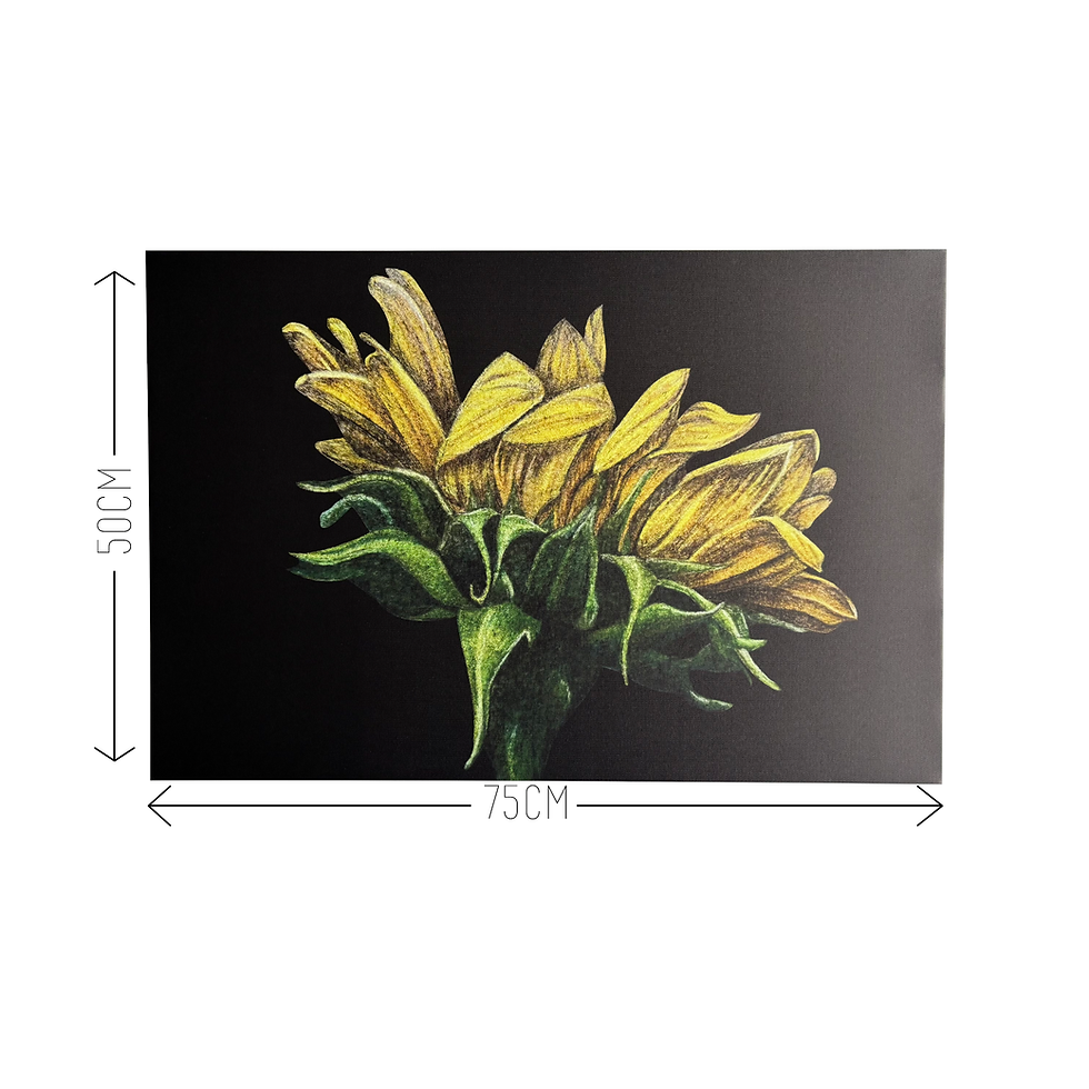 Thumbnail: Canvas Zonnebloem compleet met afmetingen