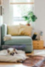 PalmLegal_HomeFinancialAdvice