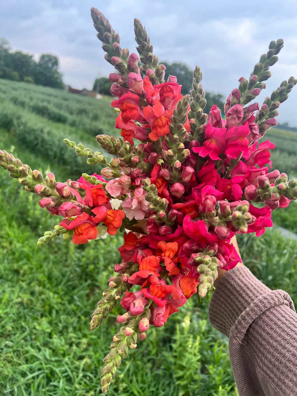 8/2 Morning Cut Flower Class