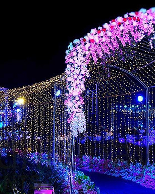 find wedding planners in goa