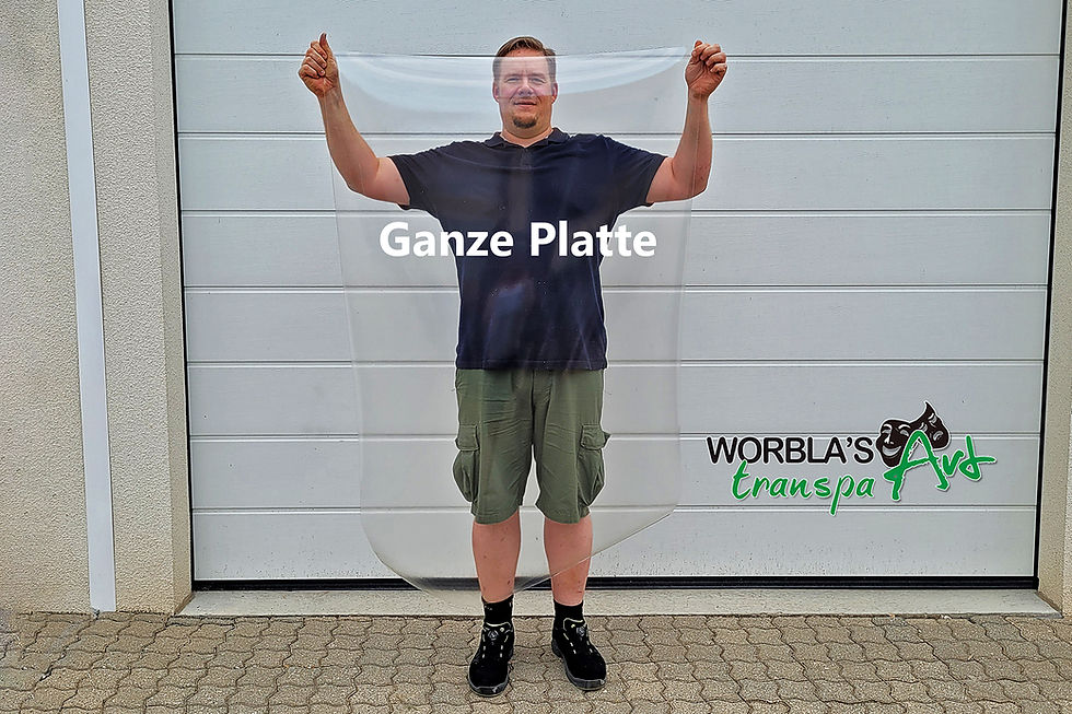 Miniaturbild: Ein 1,85 großer Mann hält eine ganze Platte WTA. sie reicht ihm von der Stirn bis zu den Füßen, da sie ca. 1,50 m lang ist.