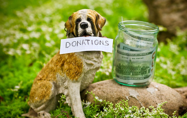DOnations.jpeg