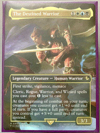 The Destined Warrior