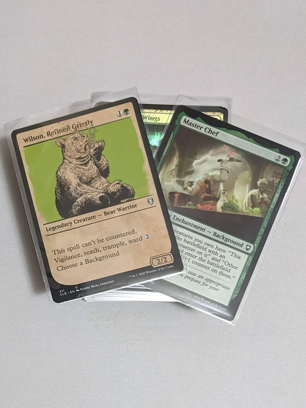 Wilson and Master Chef