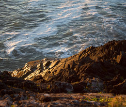 Tofino1.jpeg