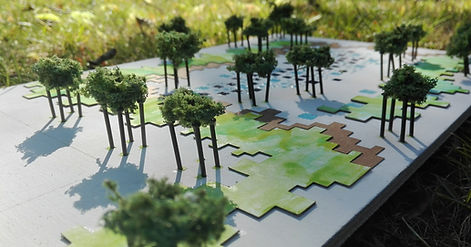 IMG_20170610_174153 (1).jpg