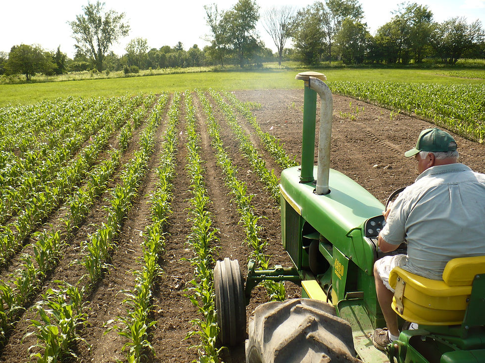 Sowing Knowledge: On-Farm Research Experiments