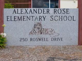 rose11
