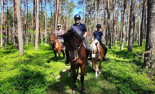 jazda w terenie, konie