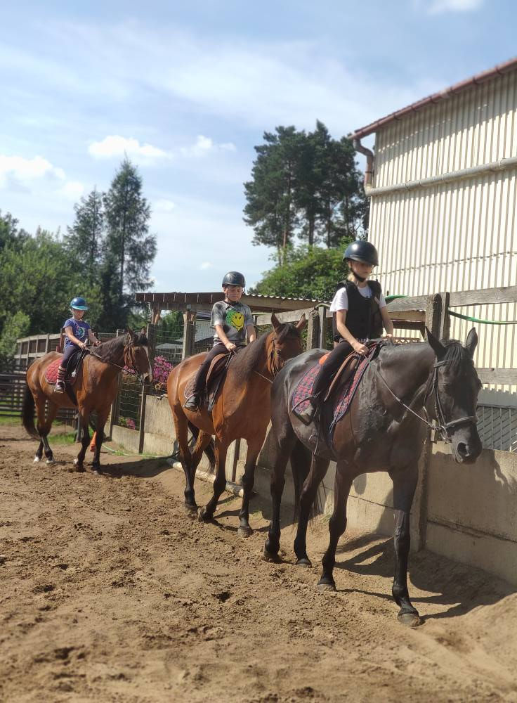 Nauka jazdy konnej dla dzieci