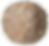 嗲蕉爺爺|牛骨濃湯牛丸