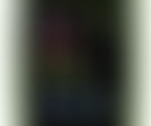 Using the Linkrunner AT 4000 to Locate Network Errors - Carlo Zakarian