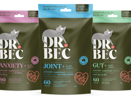 Dr. Bec launches new cat health support range