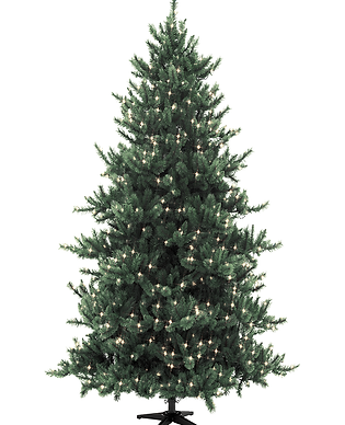 Árvore de Natal Alta