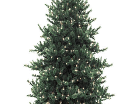Announcing MOde Fitness 12-day holiday challenge