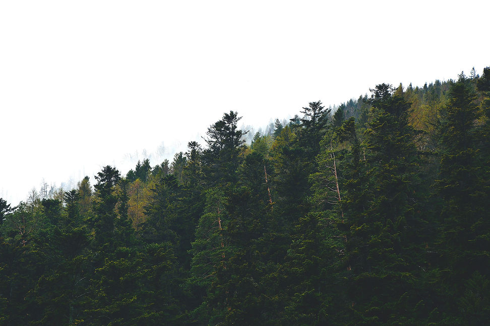 david-jusko-aq8hL1Jbm_c-unsplash.jpg