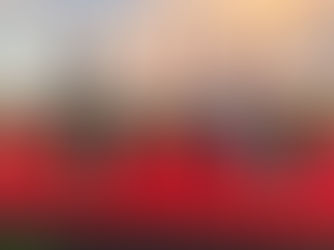 Jan-February 2025 Newsletter