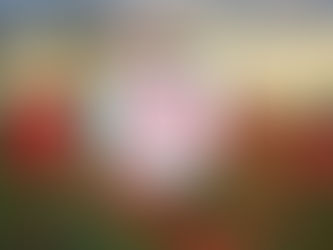 Auxiliary February 2026 Bulletin