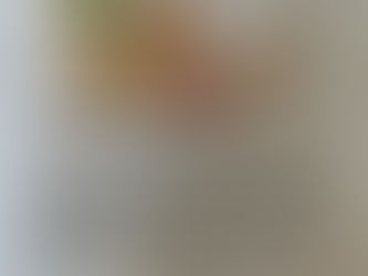 December Meeting Moved!