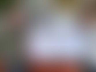 Donation to Pine River Food Shelf