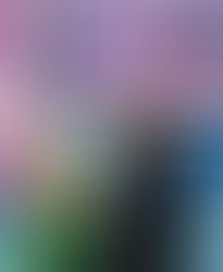 Children's MN Foundation