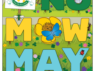 No Mow May