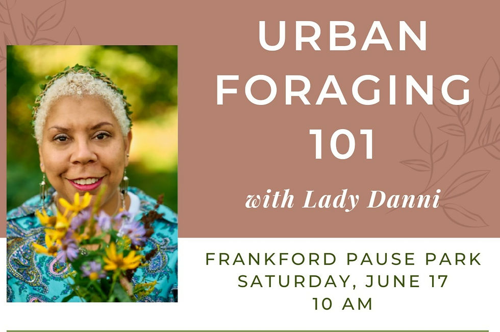 Urban foraging talk at Frankford Pause Park