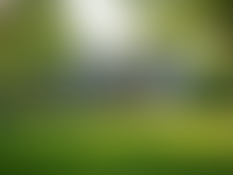 Understanding Capital Gains Tax for Long-Time Homeowners in Oceanside NY