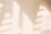 aesthetic-window-shadow-beige-texture-background2.jpg