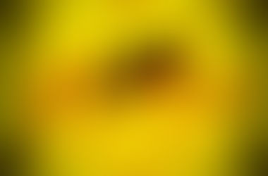 Veja onde se vacinar contra a febre amarela nos postos de São Carlos, SP.