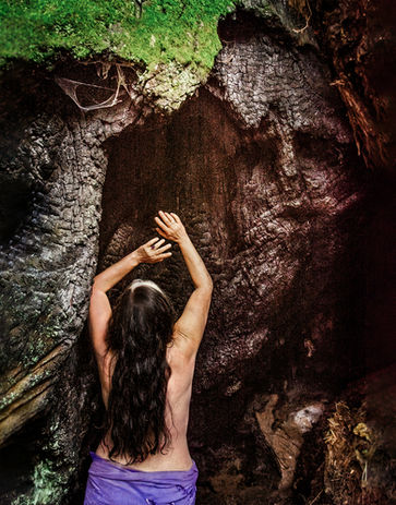 Ancestors Appear.jpg