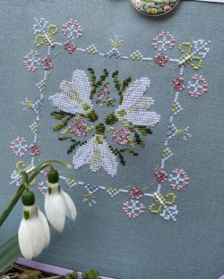 photo_2026-01-28 21.15.10