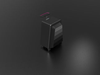 bag b.29.jpg