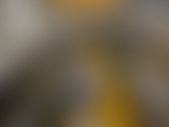 Industrial Steel Processor to Locate New Facility in Hickory, North Carolina with $27 Million Investment