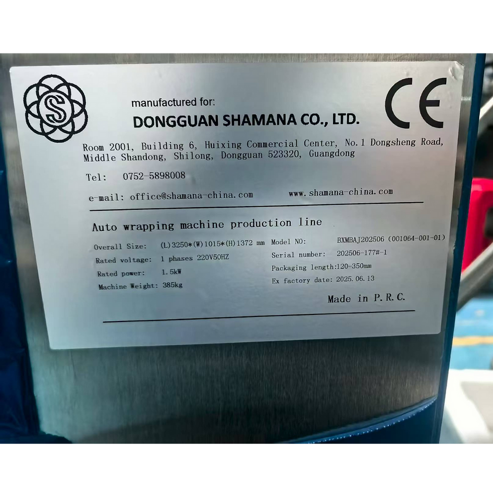 001064-001-01 Auto Wrapping Machine production line