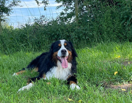 WhatsApp Image 2022-07-12 at 3.53.40 PM (3).jpeg