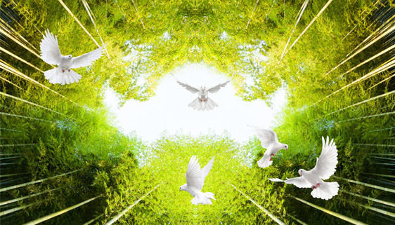 Küçük resim: Tavan desen kodu; TM-853