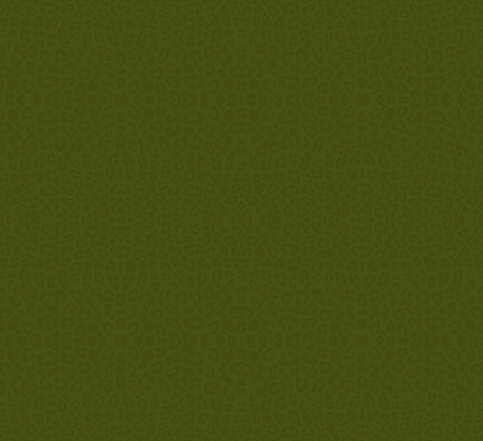 Peter Pan Camo.png