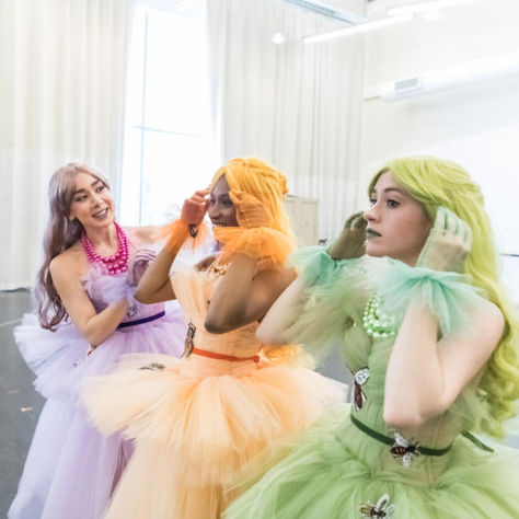 Sleeping Beauty, Reimagined