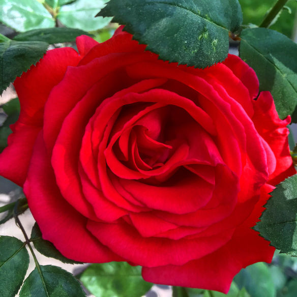 There's More to Us Than We Thought